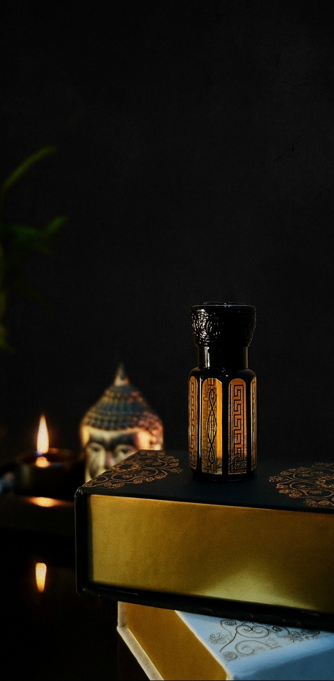 𝐒𝐓𝐑𝐎𝐍𝐆 𝐅𝐑𝐀𝐆𝐑𝐀𝐍𝐂𝐄